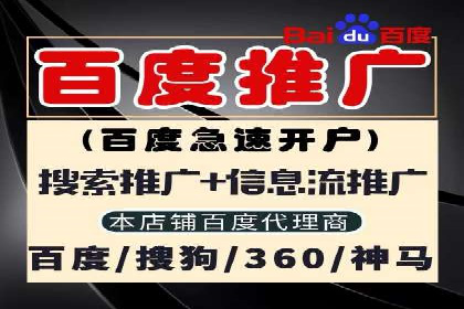 某sem公司广告投放实战案例
